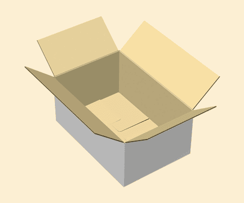 Regular Slotted Container (RSC)
